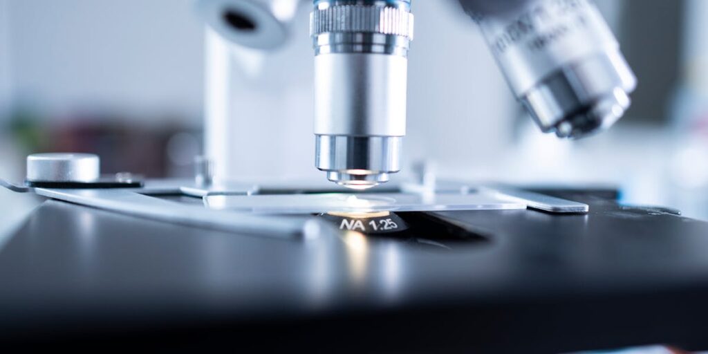 palavras-chave loja virtual